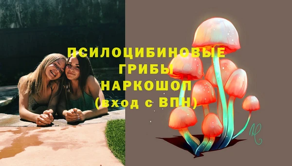 герыч Коряжма