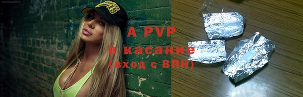 ешки Корсаков