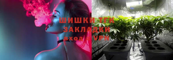 дмт Козельск