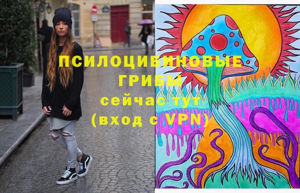ешки Корсаков
