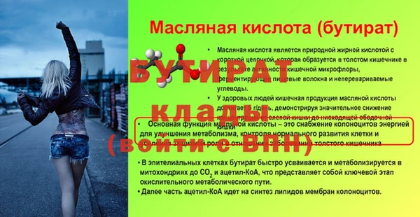 ешки Корсаков