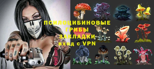 герыч Коряжма