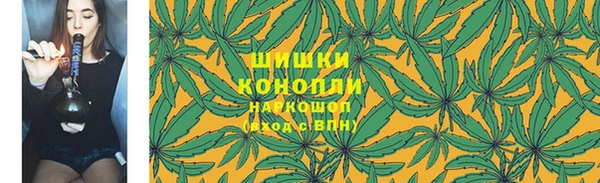 ешки Корсаков