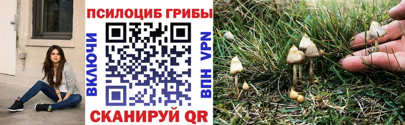 маркетплейс какой сайт  купить наркотики сайты  Чебаркуль  Псилоцибиновые грибы Magic Shrooms 