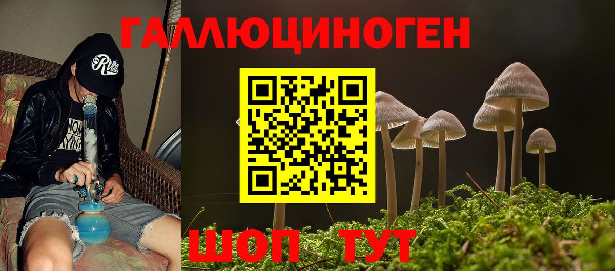 Псилоцибиновые грибы GOLDEN TEACHER  Вход с VPN  Чебаркуль 