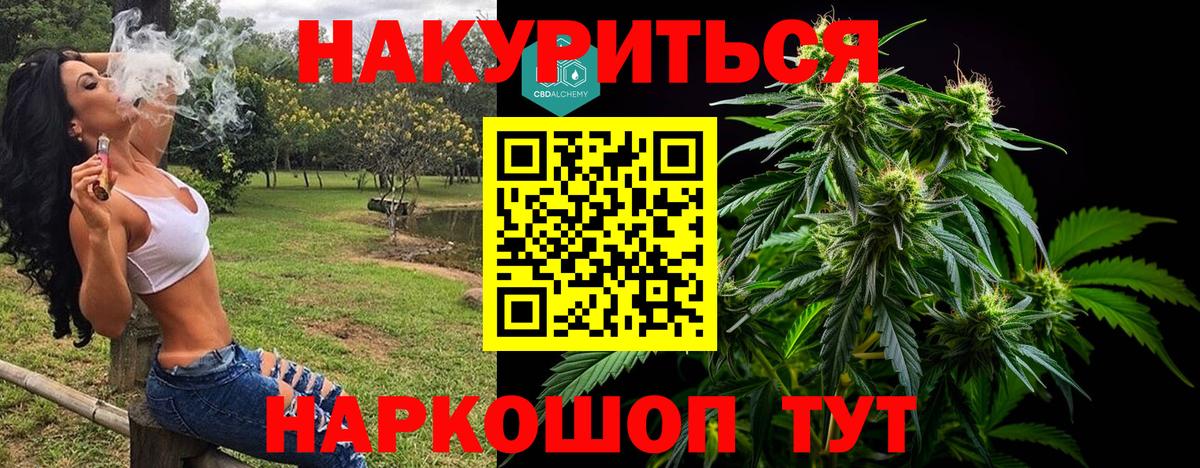 Канабис сатива Чебаркуль